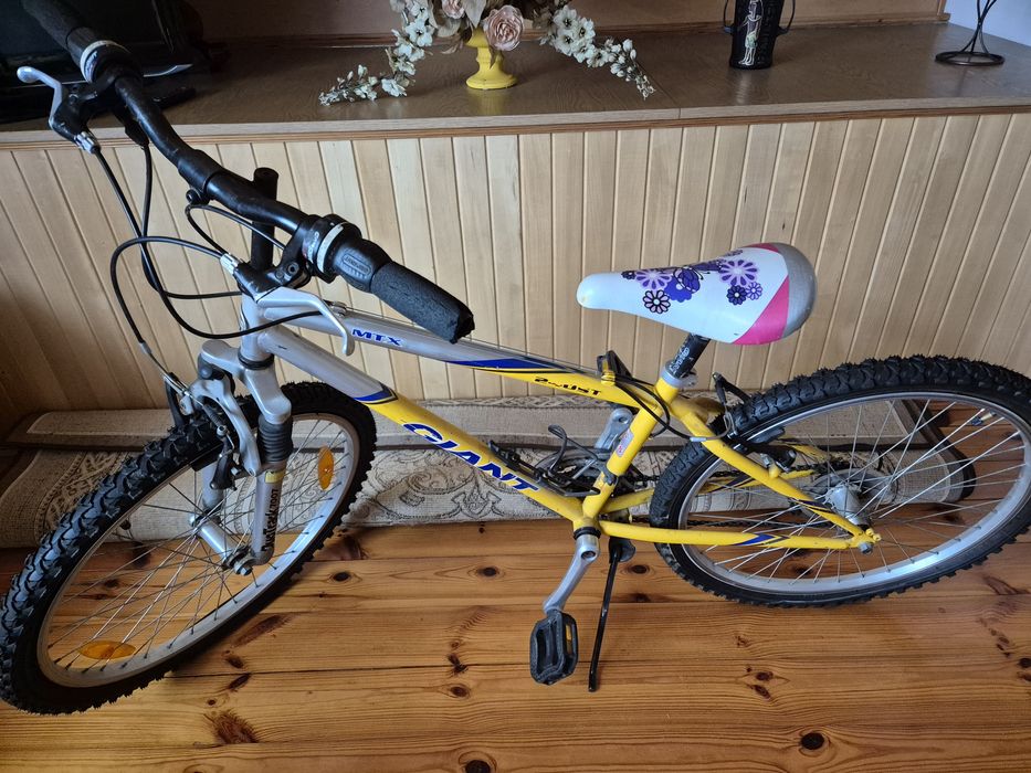 Rower Giant 24" używany