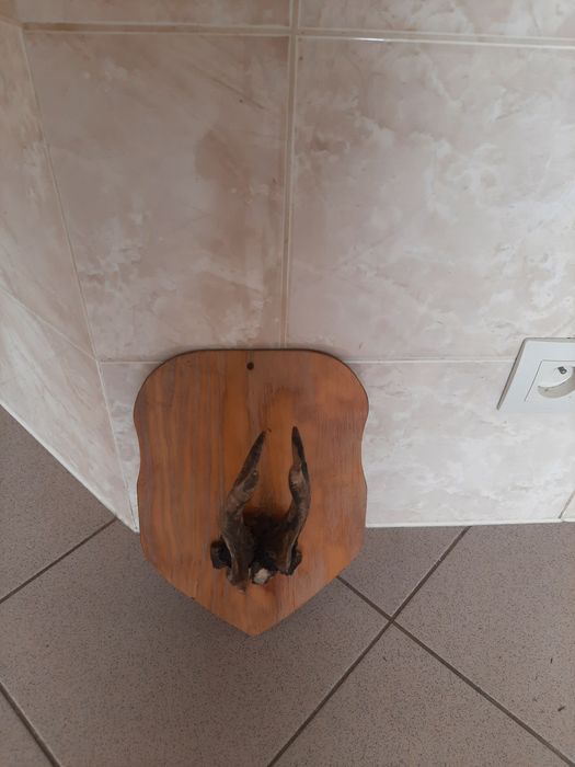 Pomoże jelenia wieszak do powieszenia