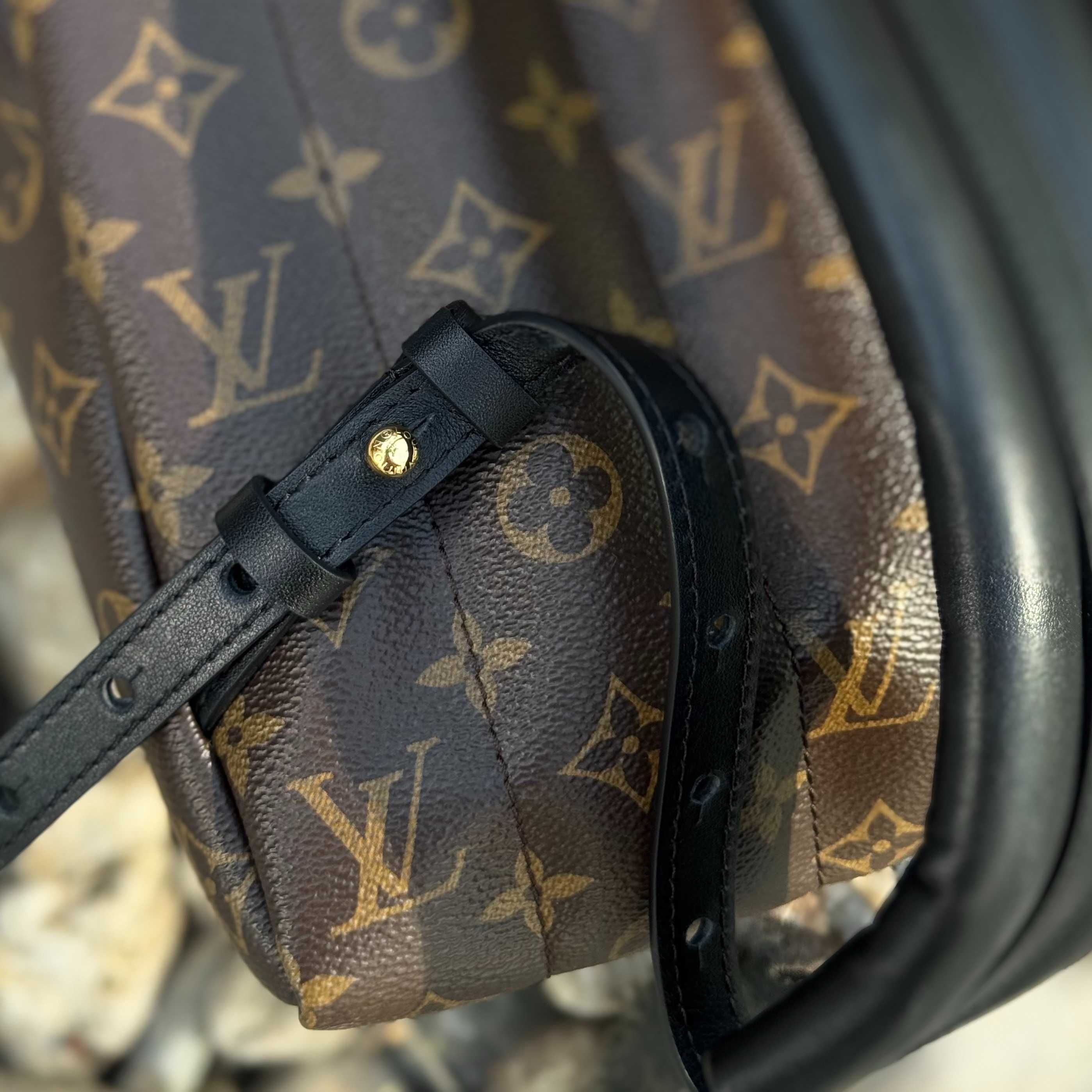 Женский рюкзак Louis Vuitton Palm Springs Backpack