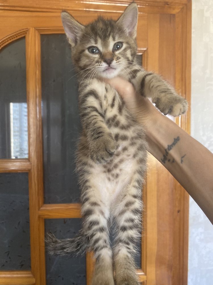 Маленька радість