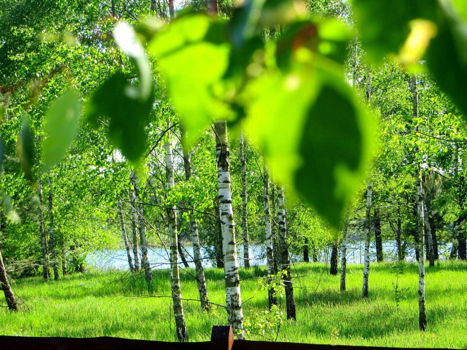 Domek w Radęcinie-wynajem-Nowy Rok 2025  - 31.12 do 04.01 (2500zł) 8os