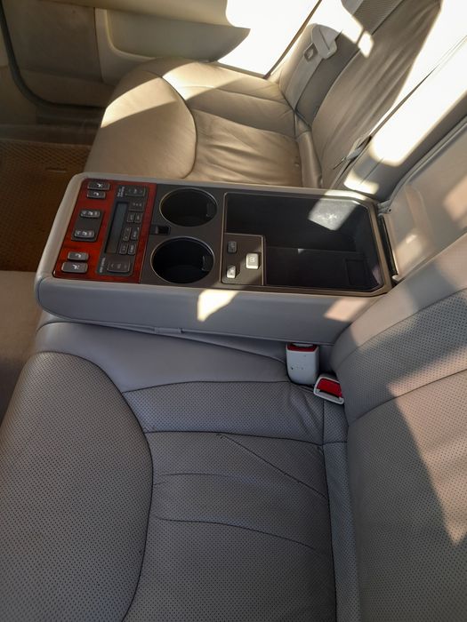 Продам "японського кабана"