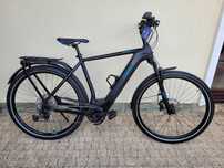 Rower Cube Kathmandu SL BOSCH Performance CX
