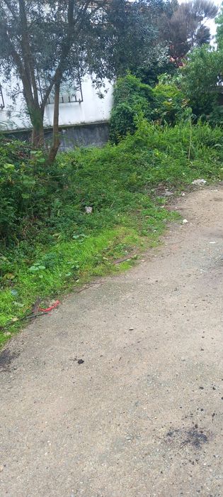 Limpeza de terrenos entulhos etc ligue ja orçamento grátis