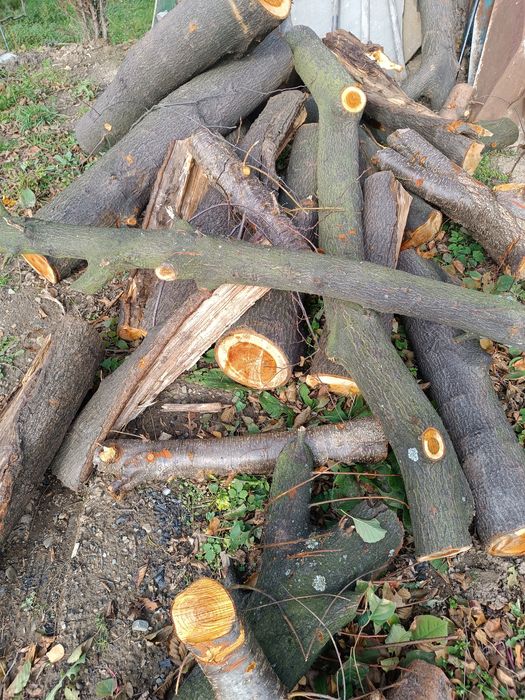 Drzewo opał mieszanka