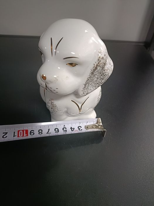 Piesek czerwona róża