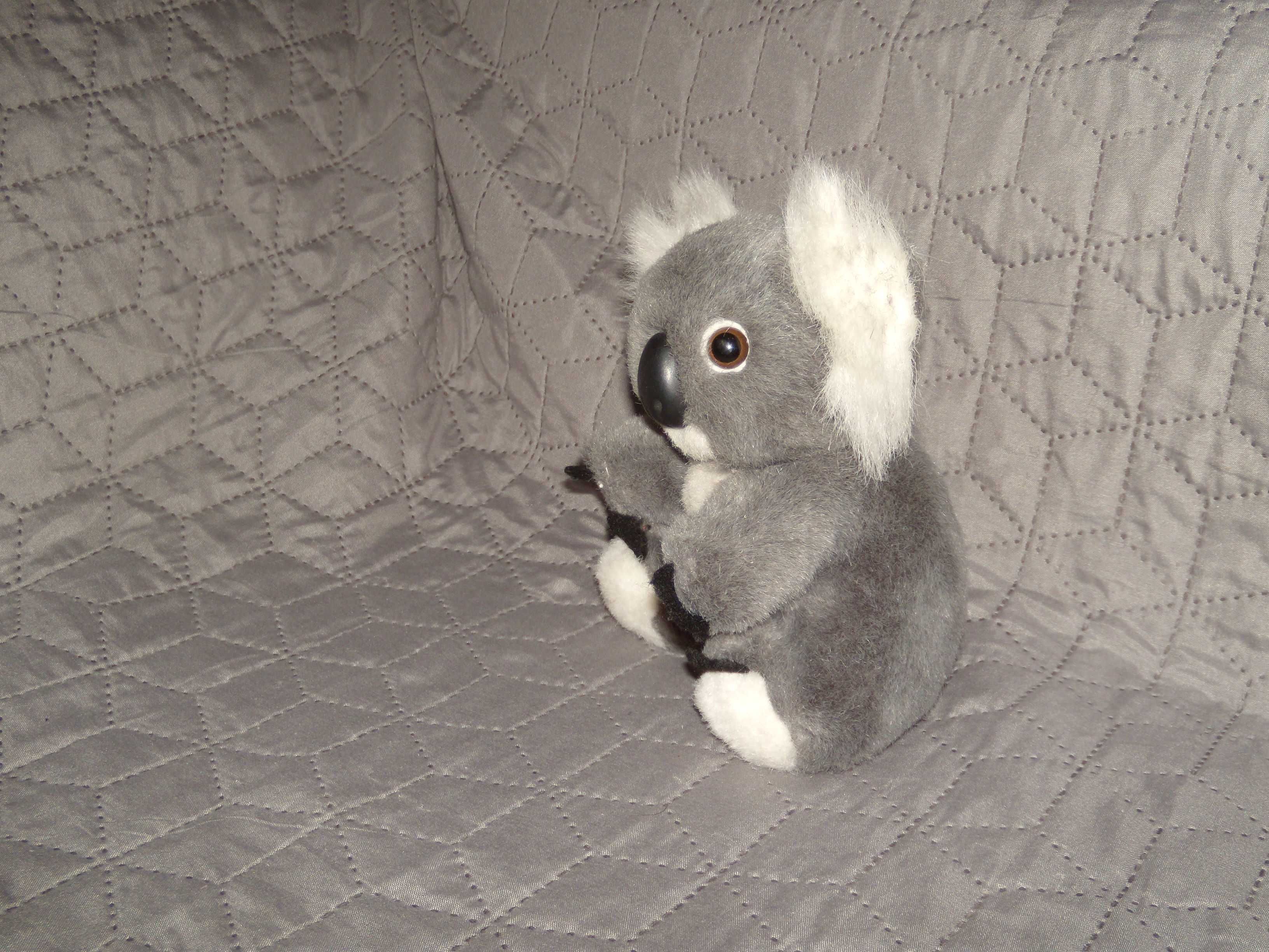 Miś Koala maskotka