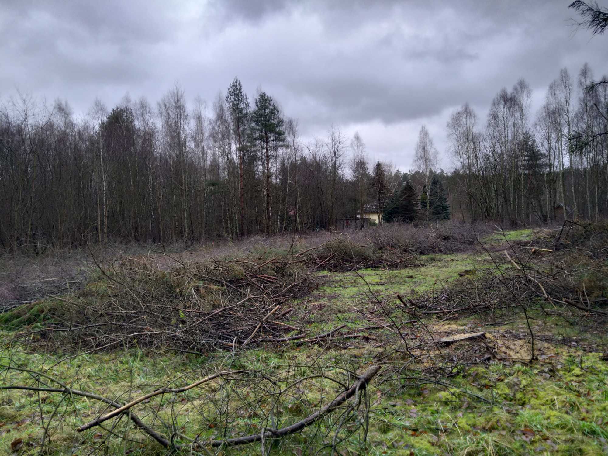 Glebogryzarka separacyjna,karczowanie ,koszenie