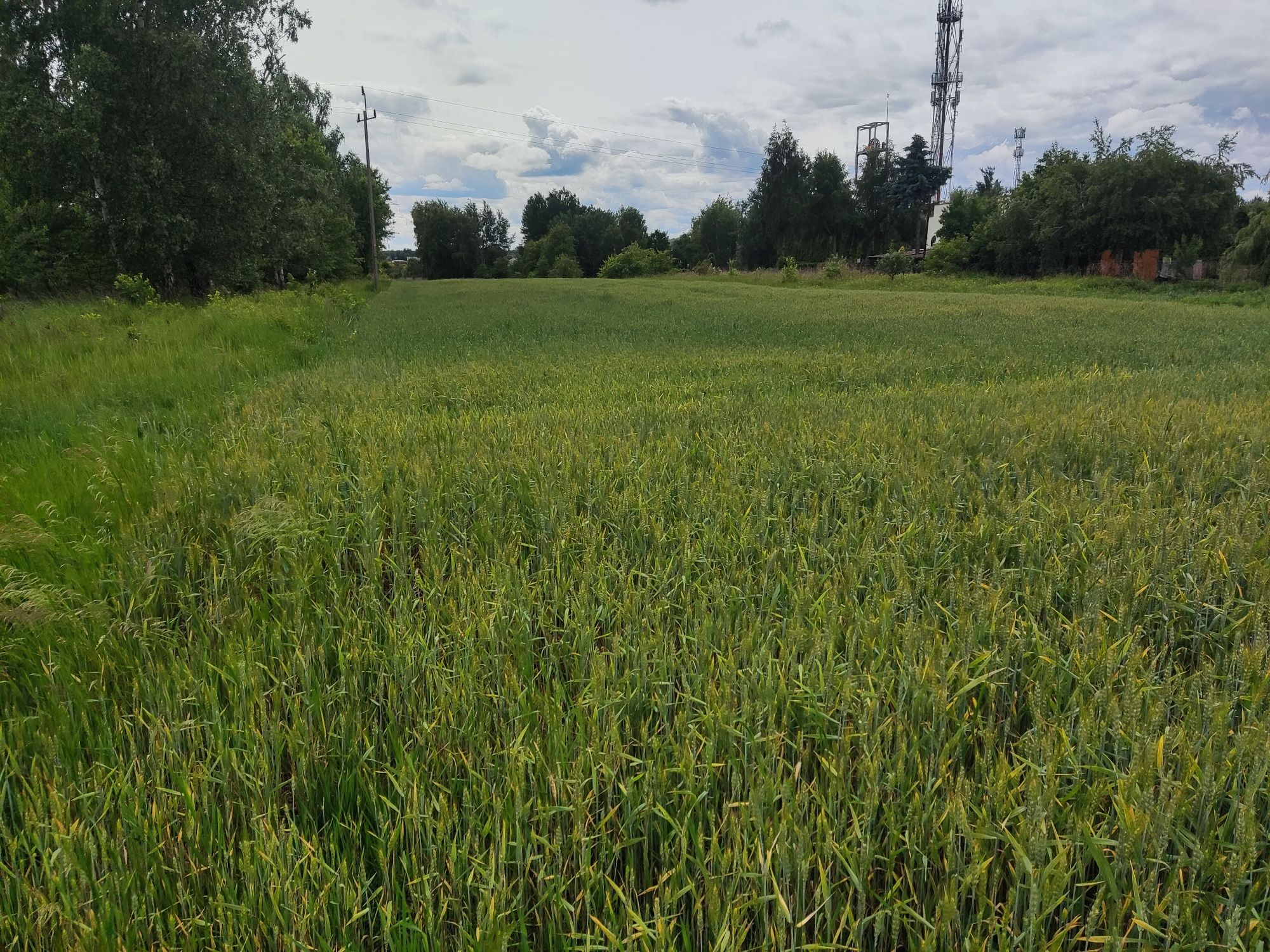 Działka budowlana