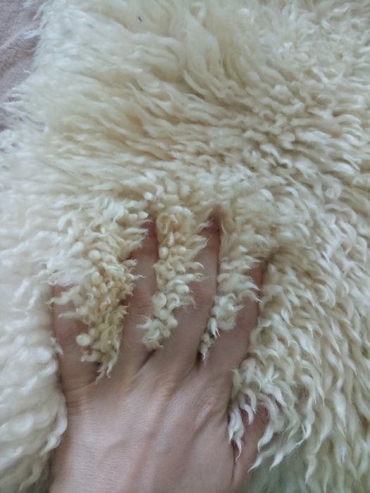 Овеча шкіра натуральна хутро овече вовна