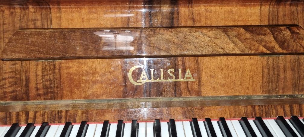 Pianino CALISIA.