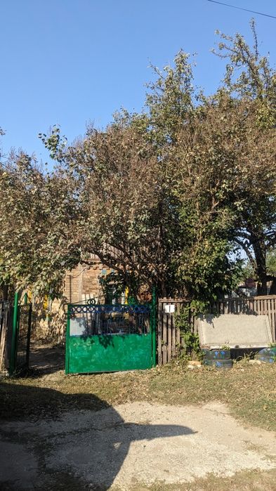 Продам дом в селе Криничное, ,40 соток земли. Или обмен на квартиру.