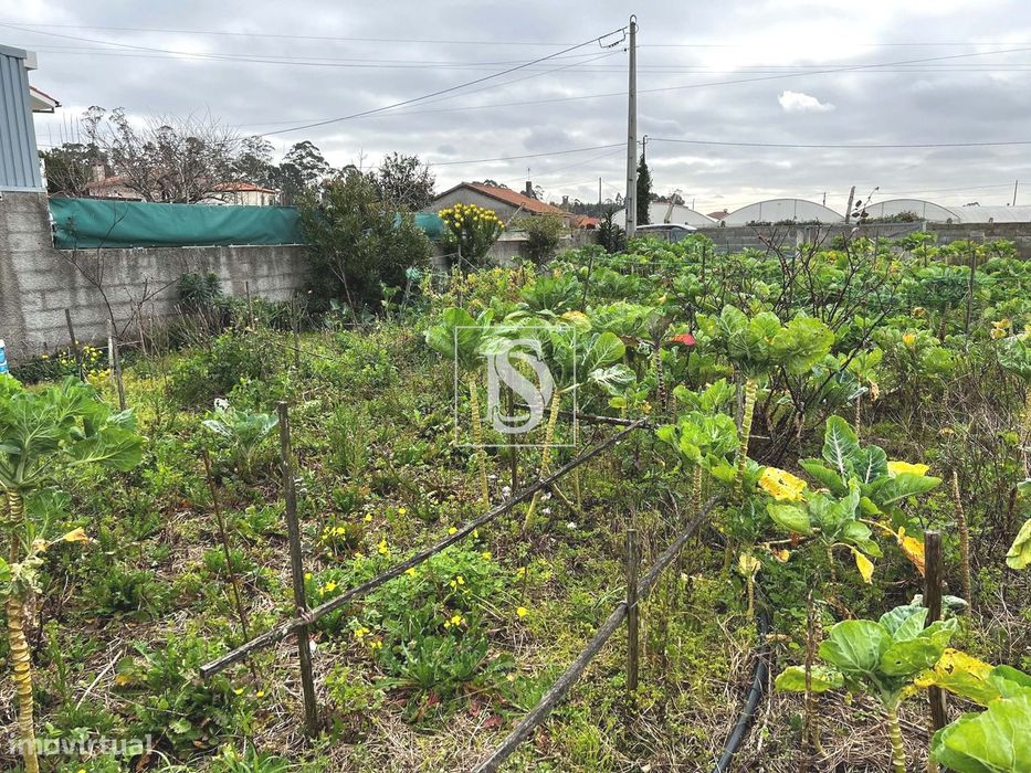 Terreno a 3 minutos do centro de Esposende