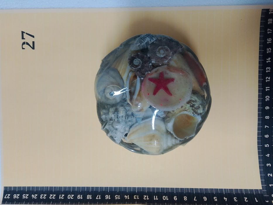 Muszle komplet (muszelki)