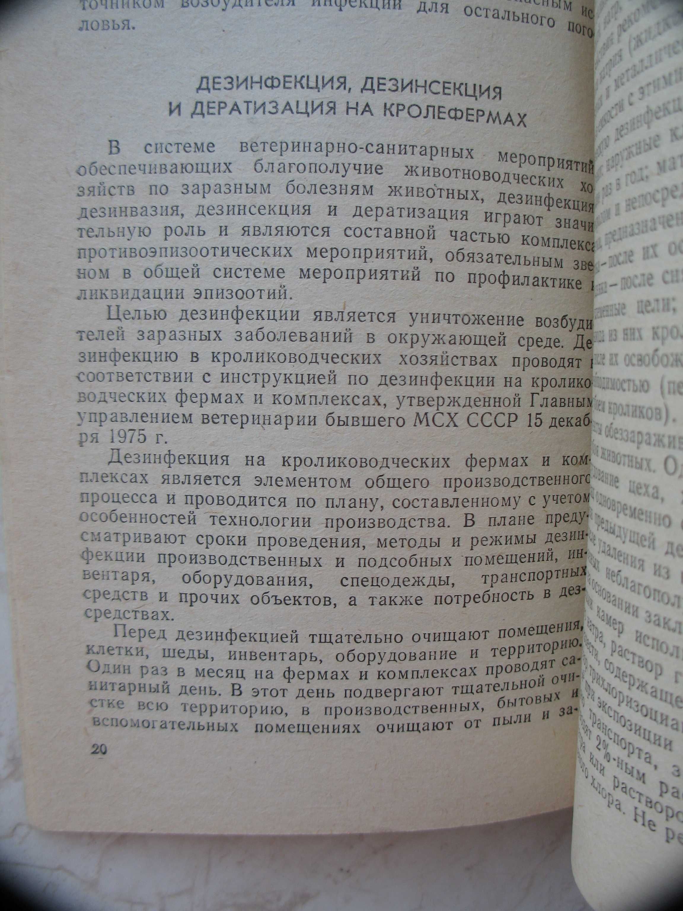 "Болезни кроликов" А.Евтушенко, 1992 год