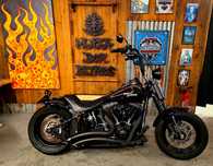 Harley-Davidson FXSTS  CROSSBONES