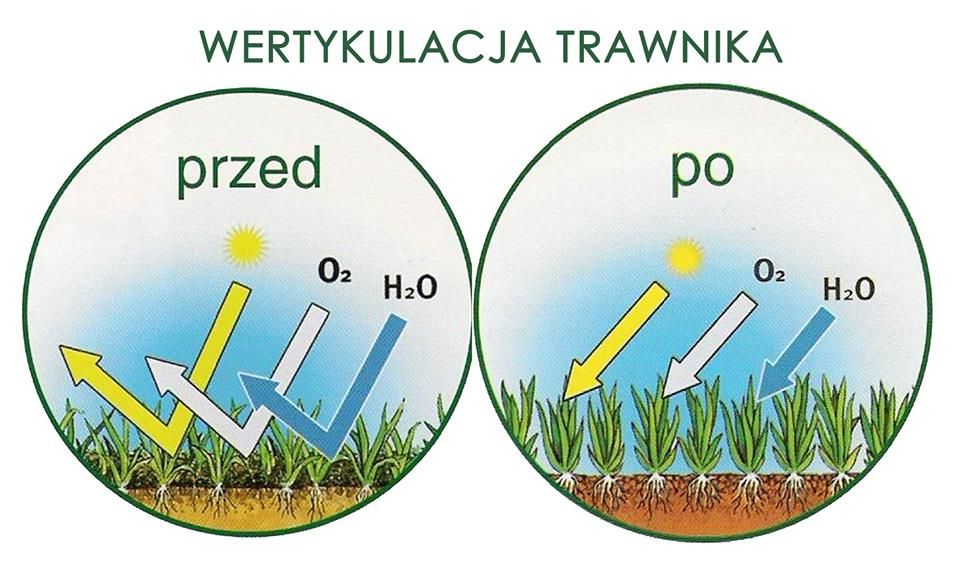 Wertykulacja Trawnika, Aeracja Trawnika, Koszenie Trawy - ŚLĄSK