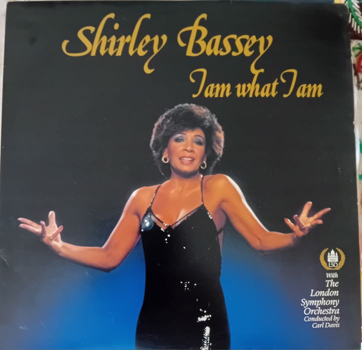 Discos vinil   LP
