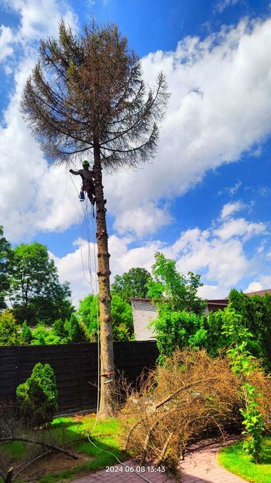 Wycinka i pielęgnacja drzew, ogrodnik, odśnieżanie dachów, frezowanie