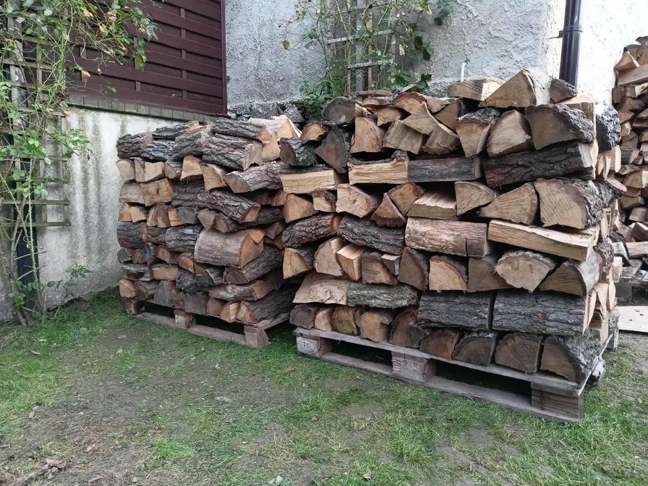 Drzewo opałowe suche Dąb, klon-jawor