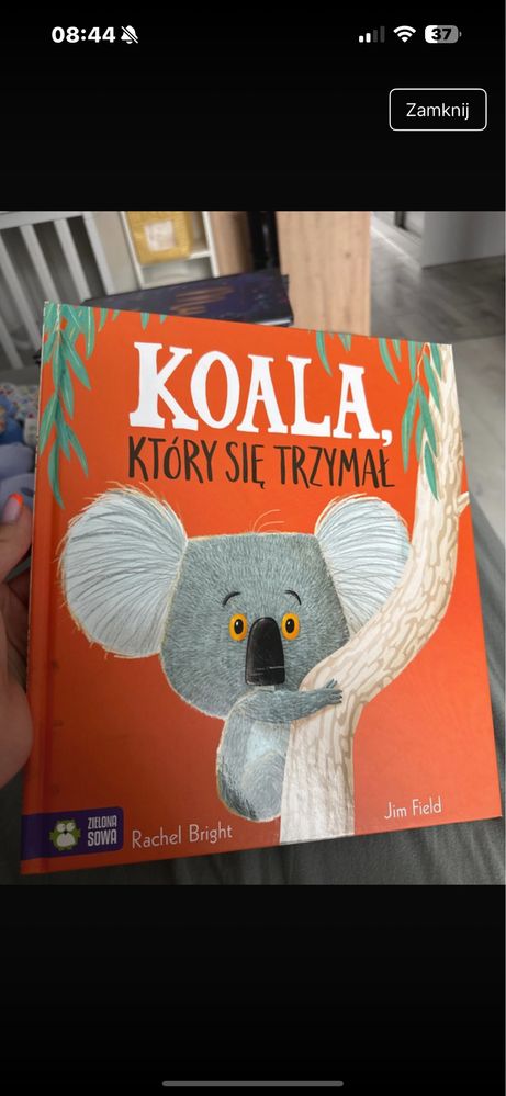 koala ktory sie trzymal  ksiazka