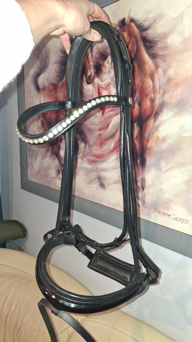 Ogłowie cob rurkowe