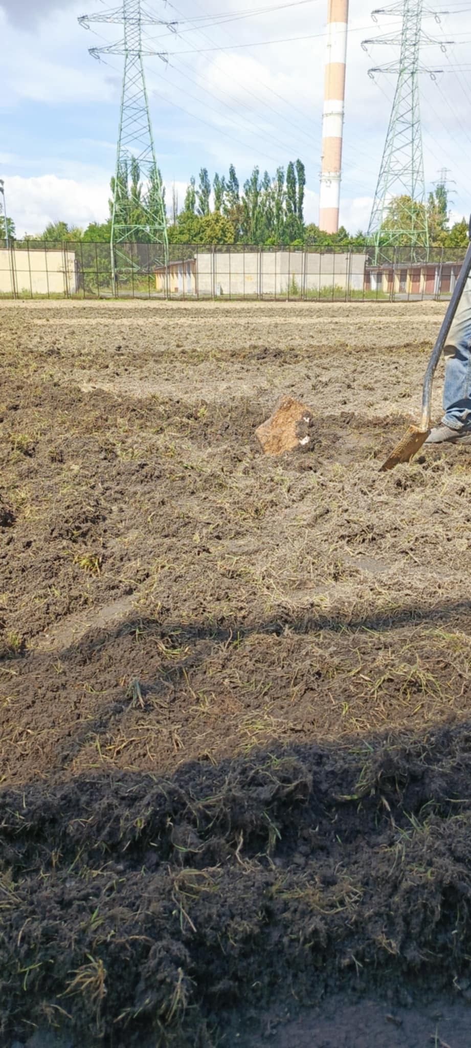 Zakładanie ogrodów, trawniki, nawadnianie, usługi minikoparka