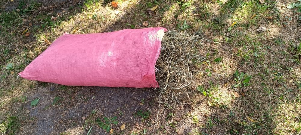 siano świeże duże worki