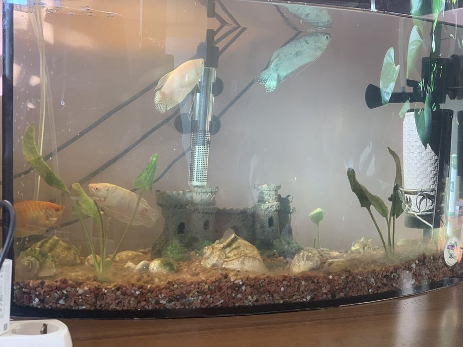 Продається акваріум