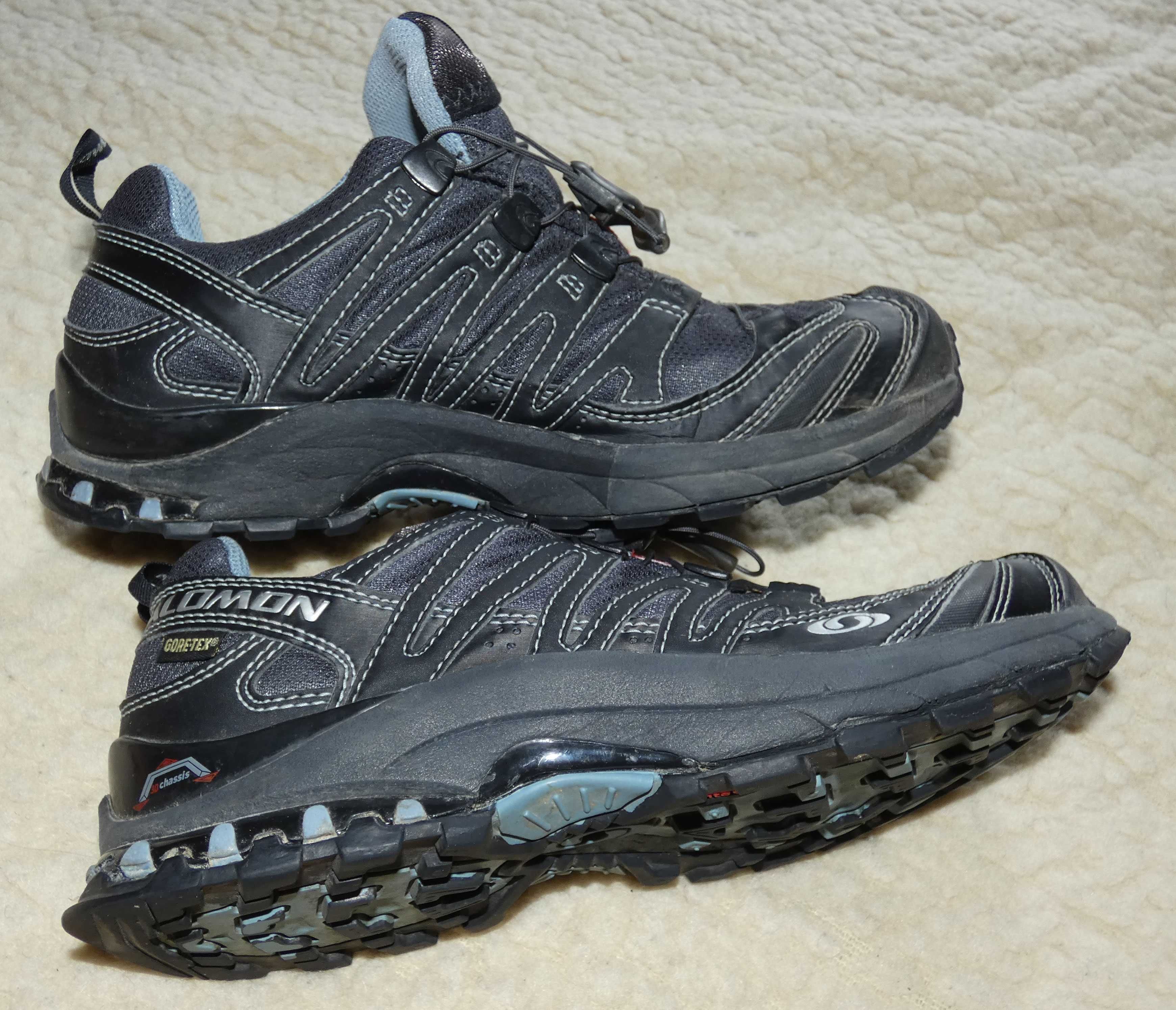 Треккинговые кроссовки Salomon Gore Tex XCR 3D Chassis