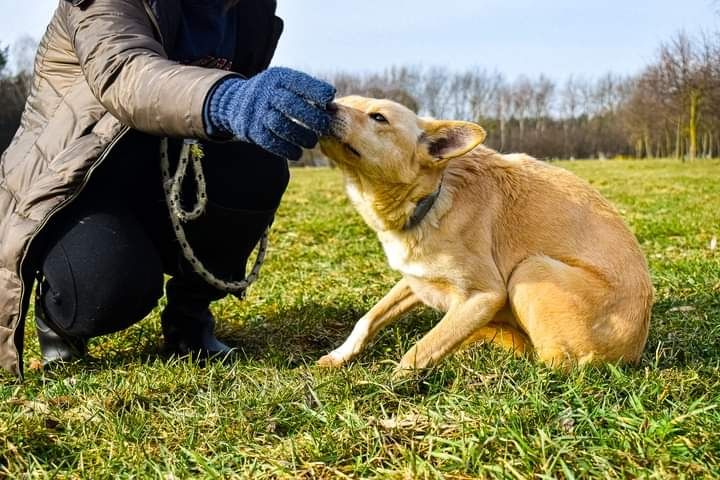 Pilnie szukamy dla niej kochającego Domu, którego nigdy nie miała...