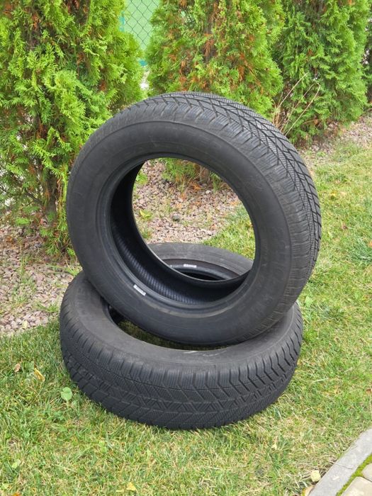 Зимова гума 225/65 R17 XL