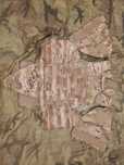 kamizelka IOTV multicam Medium