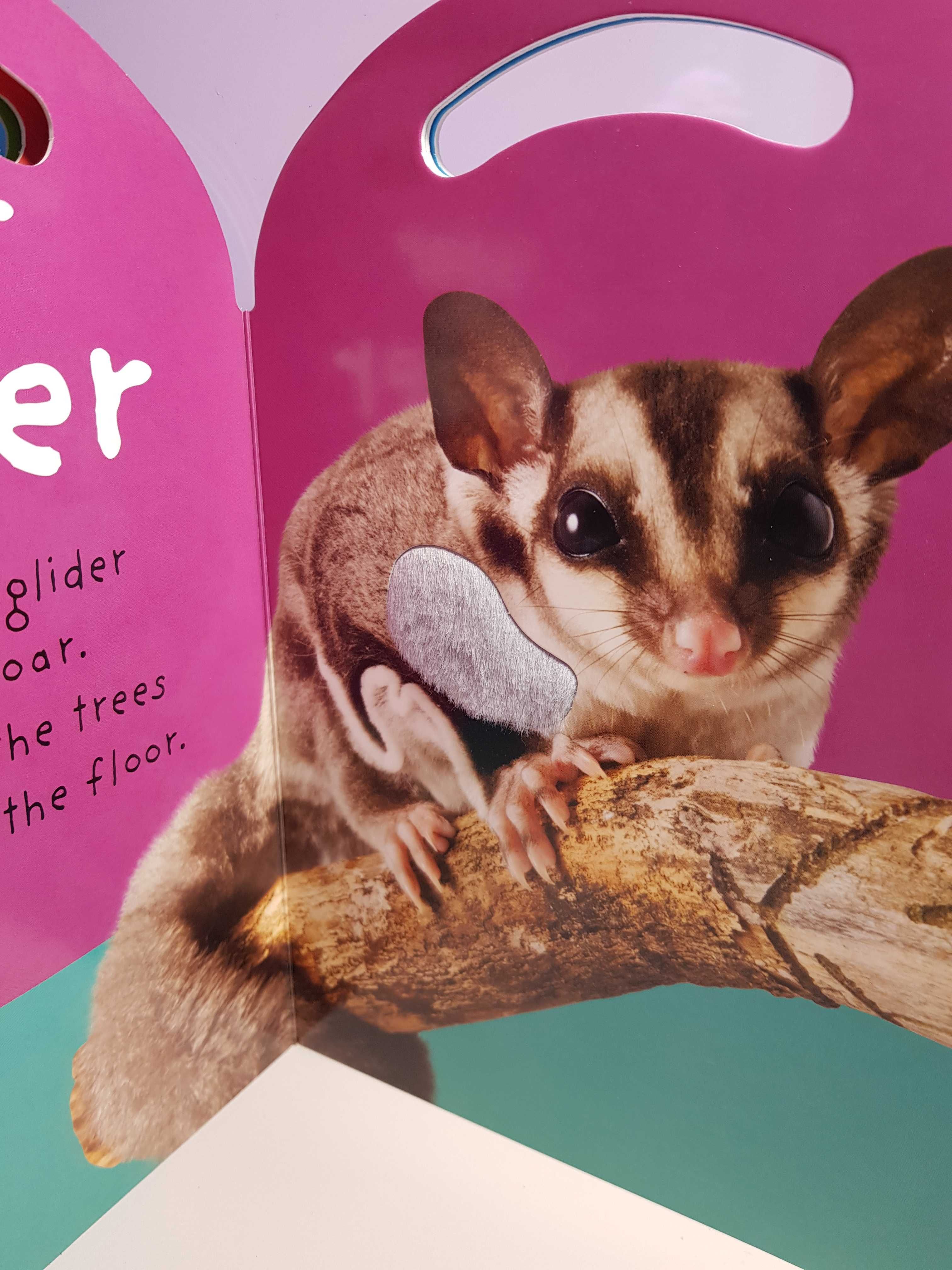 Little Possum (touch and feel book) Маленький опосум, текстурна книга