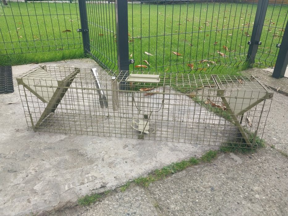 Klatka łapka na kuny koty lisy