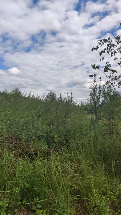 Ділянка 6 сот, Автобазар,20 хв від міста,з каліткою в ліс,