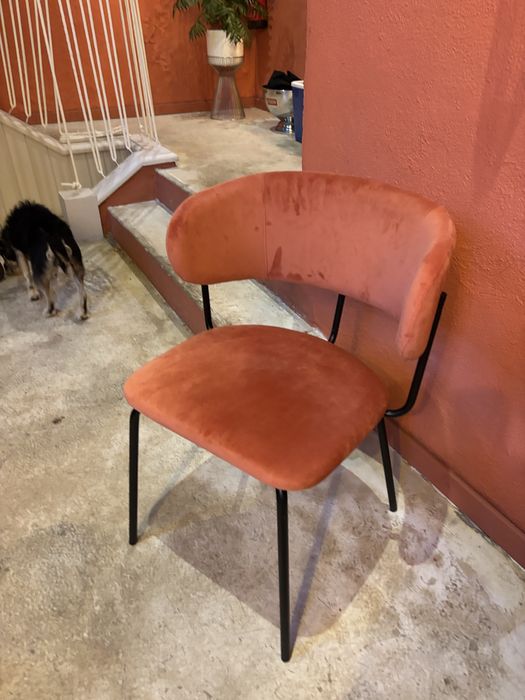 4 cadeiras veludo coral
