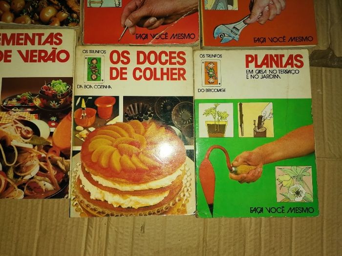 Conjunto livros Os Trunfos da cozinha e bricolage