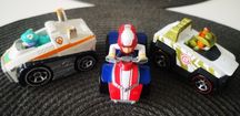 Ryder, Tracker, Everest. Psi Patrol True Metal.