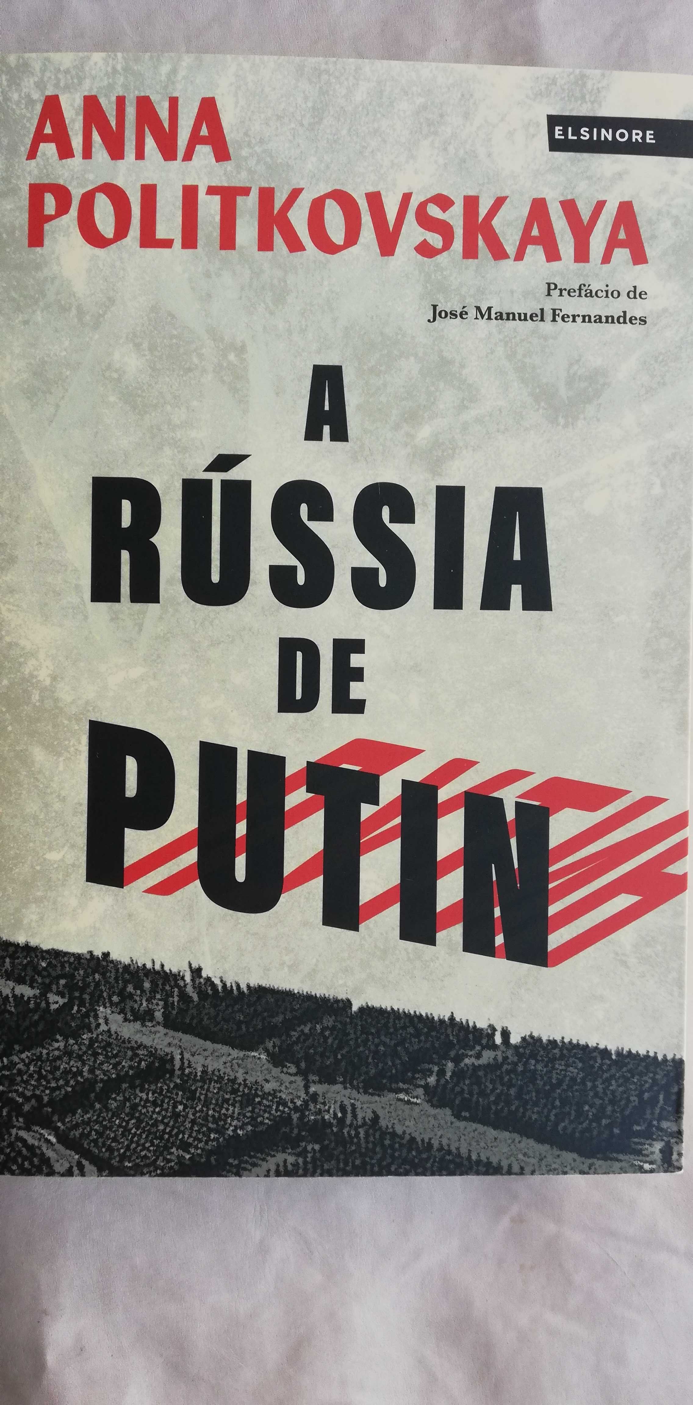 A Rússia de Putin