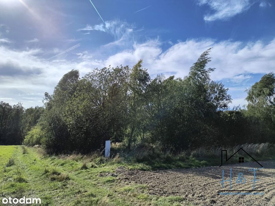 Działka blisko natury z garażem i prądem