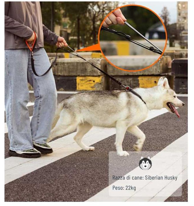 Skórzana smycz dla psa z 2 uchwytami 1,3m Kolor Niebieski