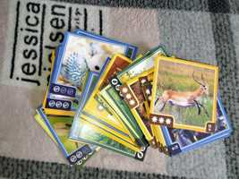 Картки звірокуб та картки з дикими тваринами