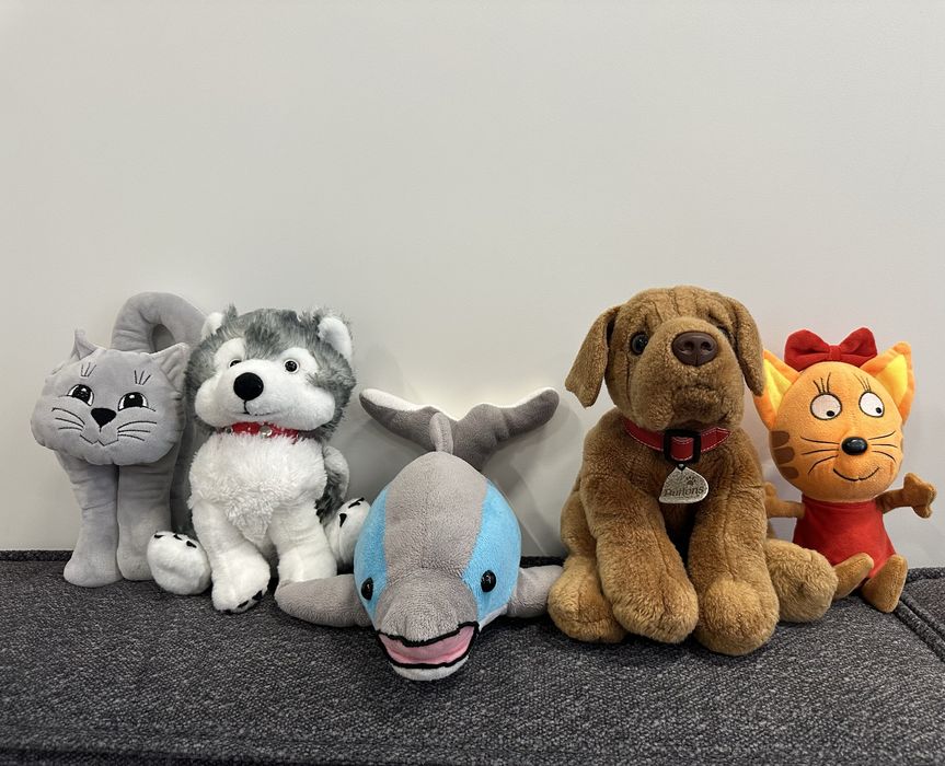 Мʼякі іграшки: дельфін, кіт, карамелька з мультфільму три кота, хаскі