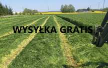 Mieszanka Gorzowska poplony trawy koniczyna lucerna gorczyca wysyłka