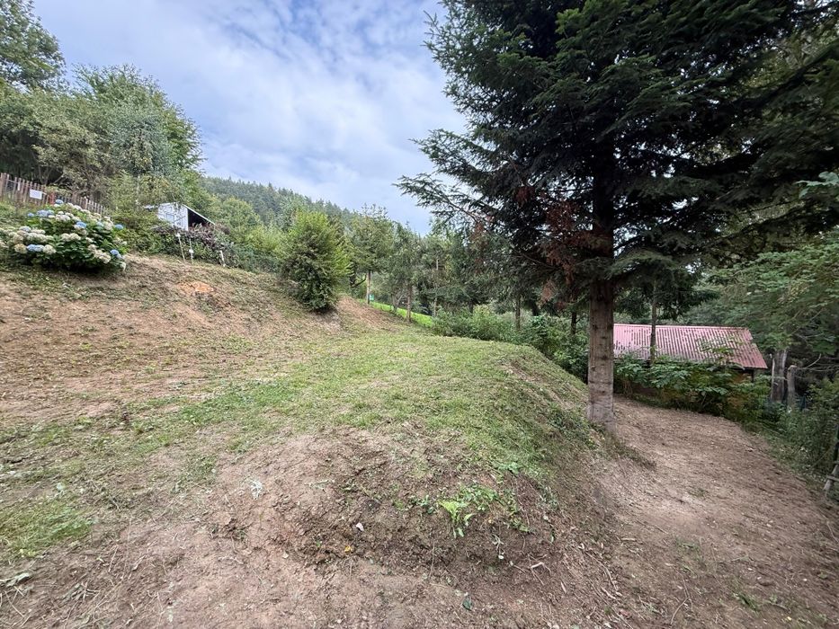 Sprzedam Działkę ROD Sosenka