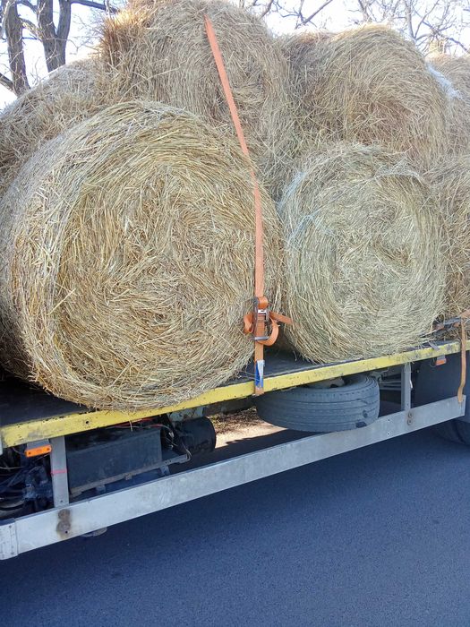 Słoma  owsiana żytnia Transport Gratis