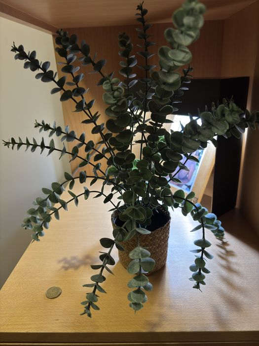 É Natal! Cesta de palhinha com verdes, para pender ou pousar