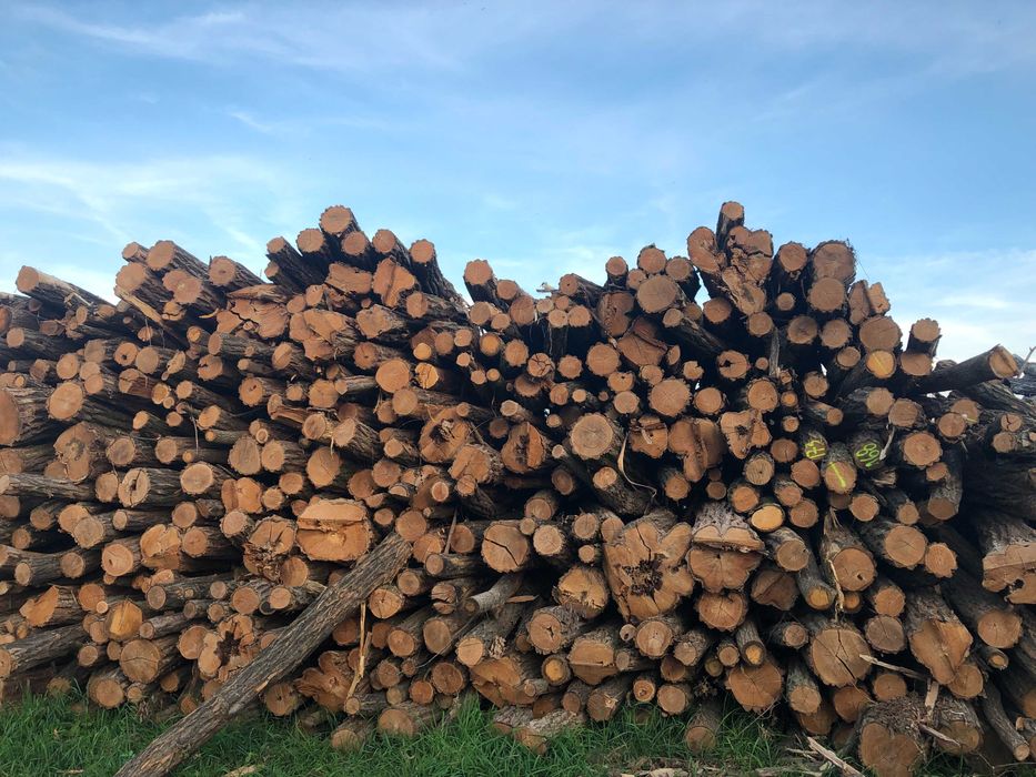 Drewno kominkowe i opałowe Różne Rodzaje ! Milicz