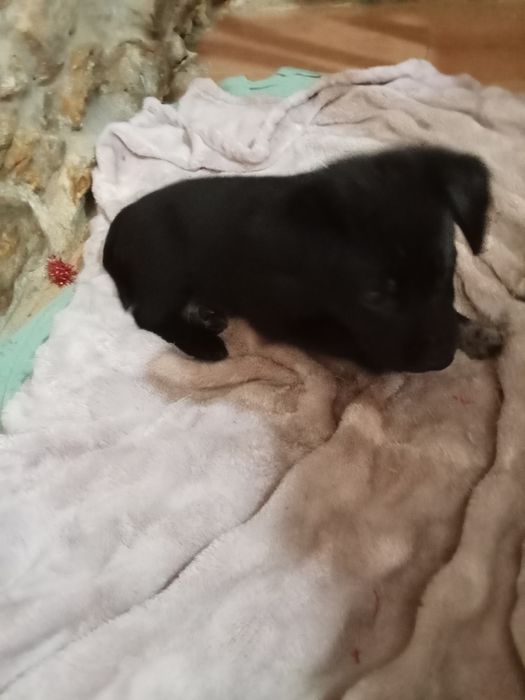 l.Cahorros para dar.